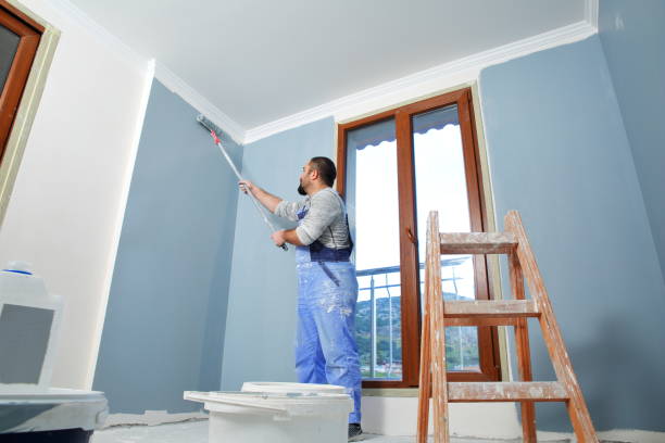 Best Interior Painting  in Frankford, DE