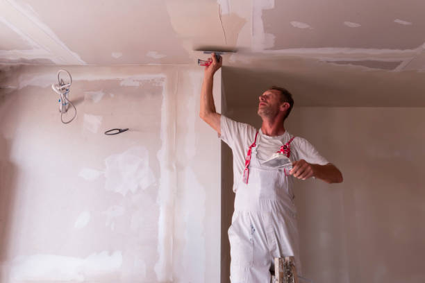 Best Drywall Sanding and Smoothing  in Frankford, DE